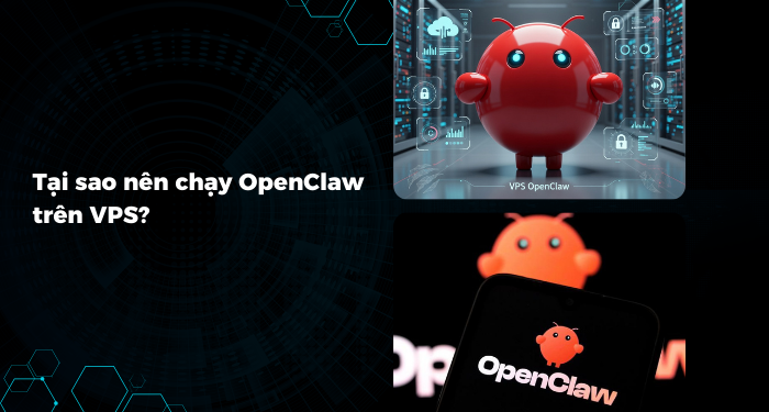 Tại sao nên chạy OpenClaw trên VPS?