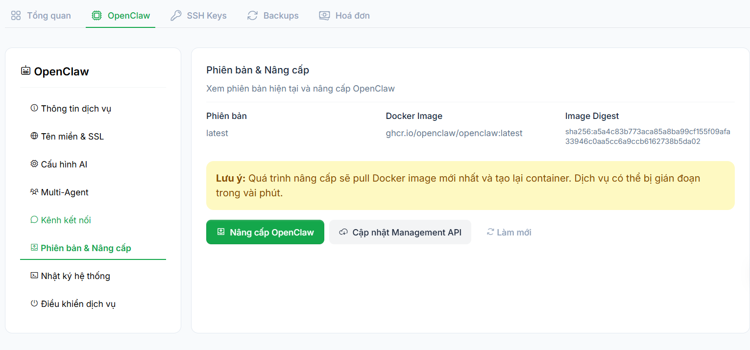 Kiểm tra và nâng cấp phần mềm 